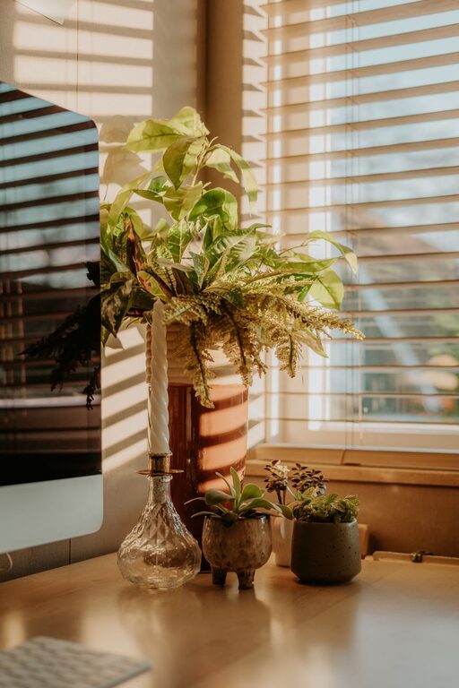 Creating a Cozy and Productive Home Office: Essential Tips
